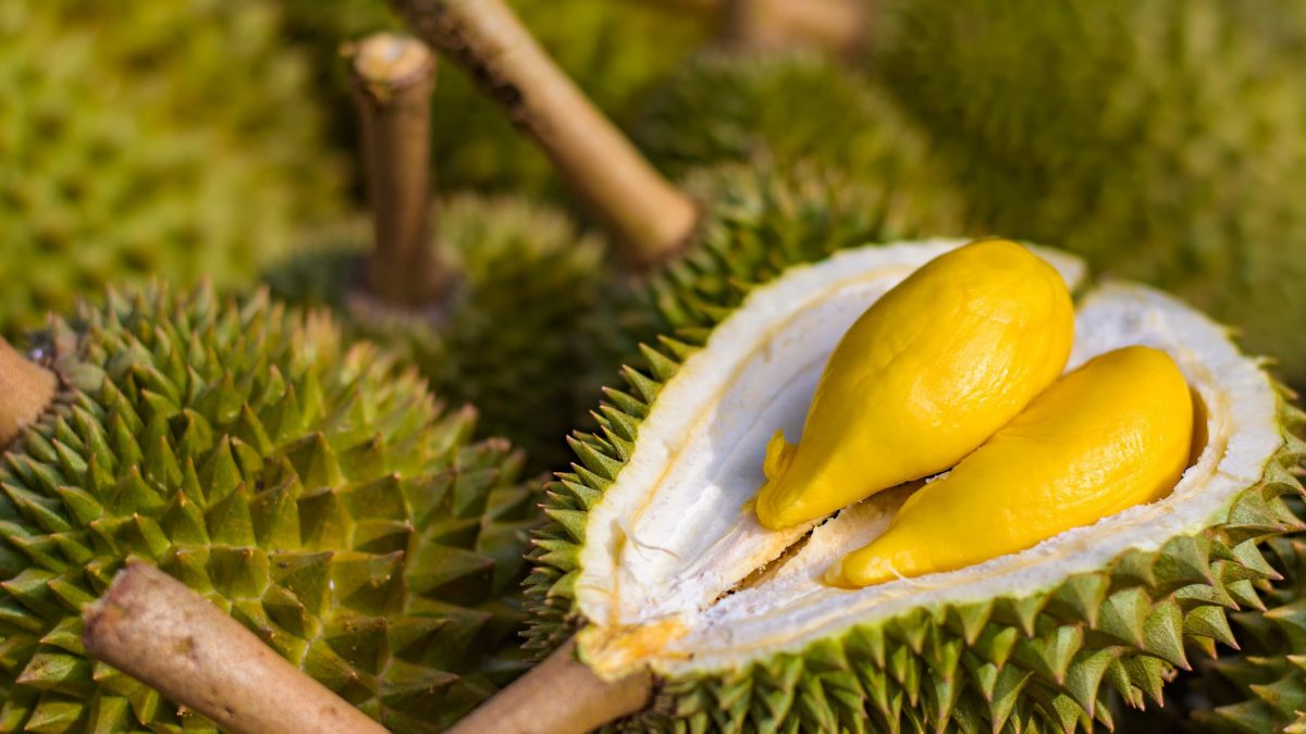 best durian delivery singapore