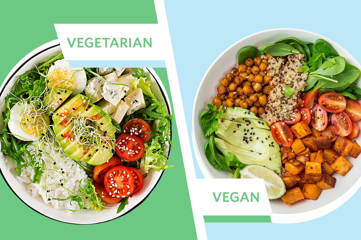 Difference between Vegan vs. Plant-Based and Vegetarian