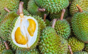 Do Online Store Provides The Best Durian Delivery In Singapore