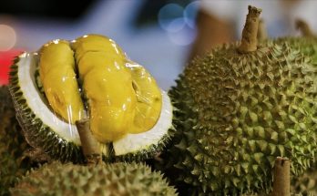 Why Choose Best Durian Delivery Singapore