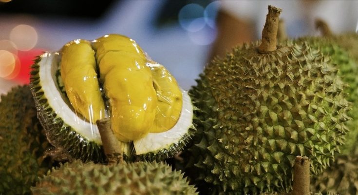 Why Choose Best Durian Delivery Singapore